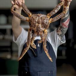 Asteur RestoMontreal.ca