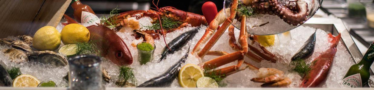 Aurochs Steakhouse - Lounge +18ans Cover Image