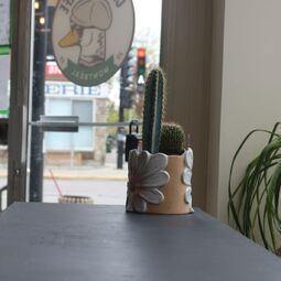 Canard café  Restaurant Café