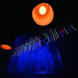 Clébard RestoMontreal.ca