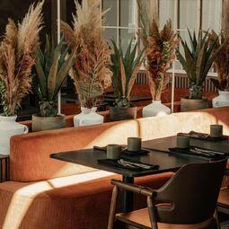 Cour Arrière RestoMontreal.ca