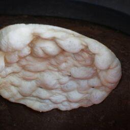 Dawat RestoMontreal.ca