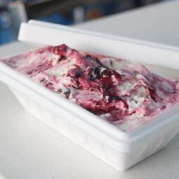 Dolce & Santella Gelato Artisanale Ice Cream Restaurant