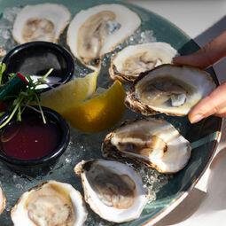 Houston Avenue Bar & Grill Steakhouse Restaurant