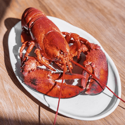 Joséphine RestoMontreal.ca