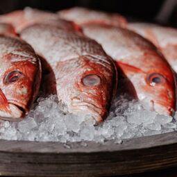 Joséphine RestoMontreal.ca