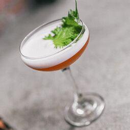 Kyo Bar Japonais  Restaurant Japonaise