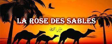 Photos de La Rose des Sables - Couscous & Tajine, Rosemont-La Petite-Patrie - Montr&eacute;al