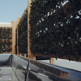 Le N'OR Bistro Chic RestoMontreal.ca