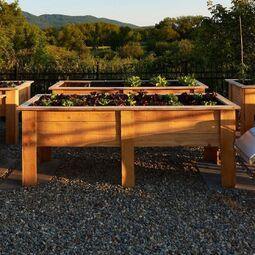 Le Roux RestoMontreal.ca