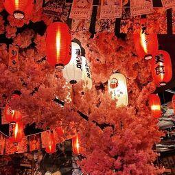 Manga Bistro  Restaurant Sushi