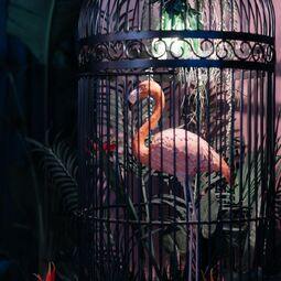 Muze Lounge & Terrasse RestoMontreal.ca