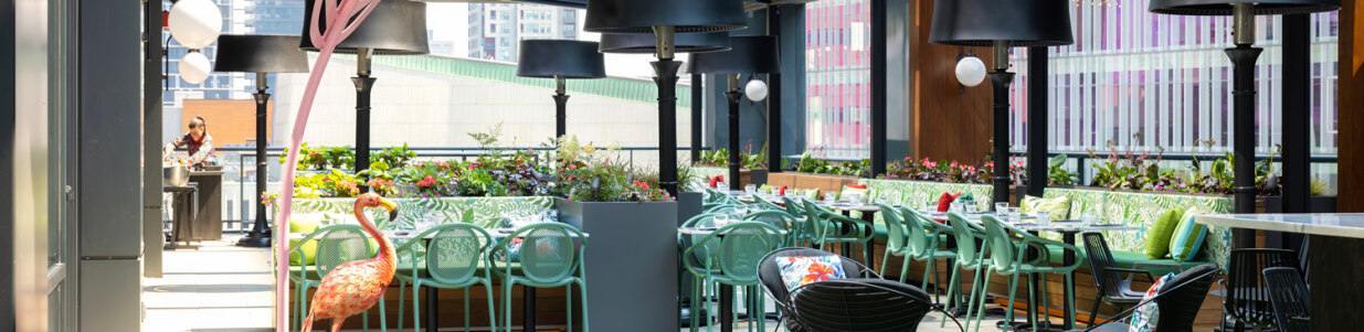 Muze Lounge & Terrasse Cover Image