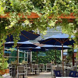 Renoir Restaurant  Restaurant Française