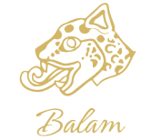 Photos of Restaurant Balam, Town of Mont-Royal - Montreal