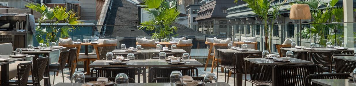 Terrasse Nelligan Cover Image