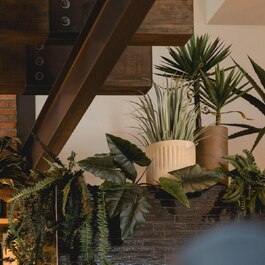 Vertigo RestoMontreal.ca