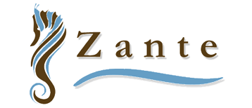 Photos de Zante, Centre-ville - Montr&eacute;al